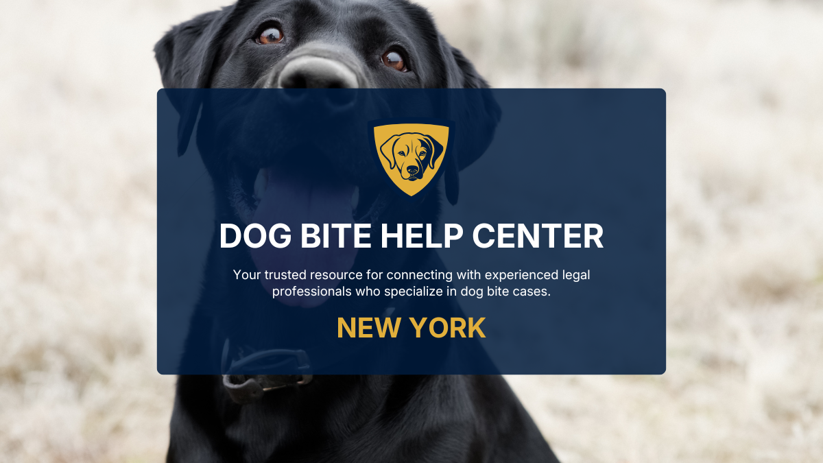 Dog Bite Help Center in New York